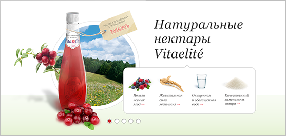 Vitaelite / Дизайн сайта